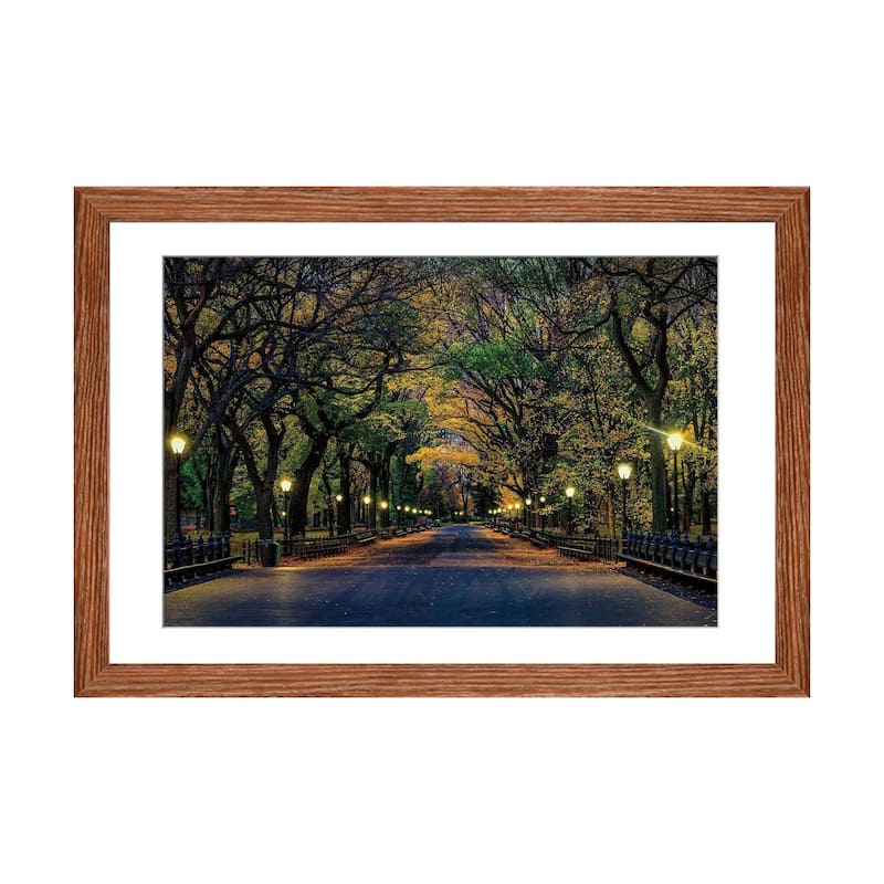 iCanvas "Central Park Magic" by David Gardiner - Walnut - 24x32x1