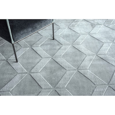 Exquisite Rugs Brunello Modern Handmade Handloomed Silky Nylon Light Silver Area Rug