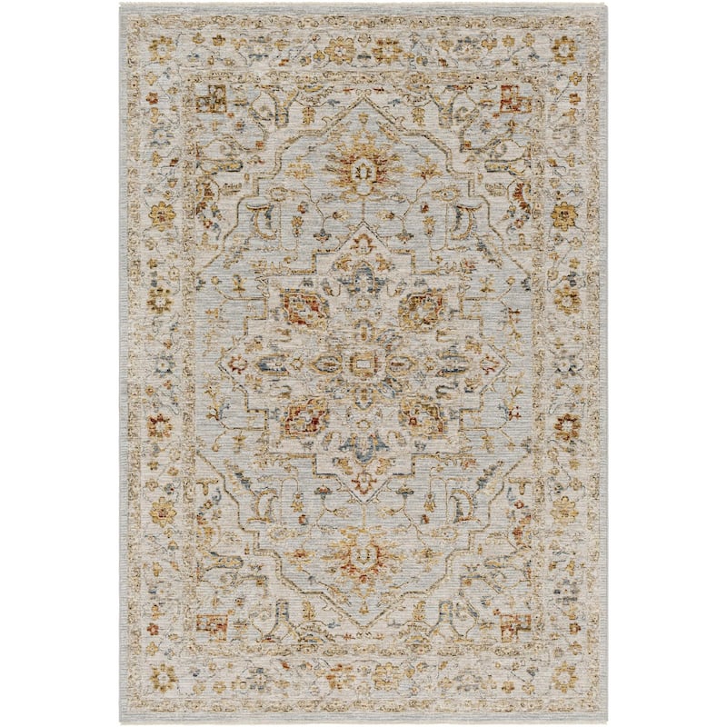 Tereza Updated Traditional Medallion Area Rug