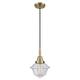 Option Antique Brass / Seedy Shade