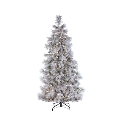 7 Foot Pre Lit Lightly Flocked Snowbell Pine with 450 Twinkle Lights