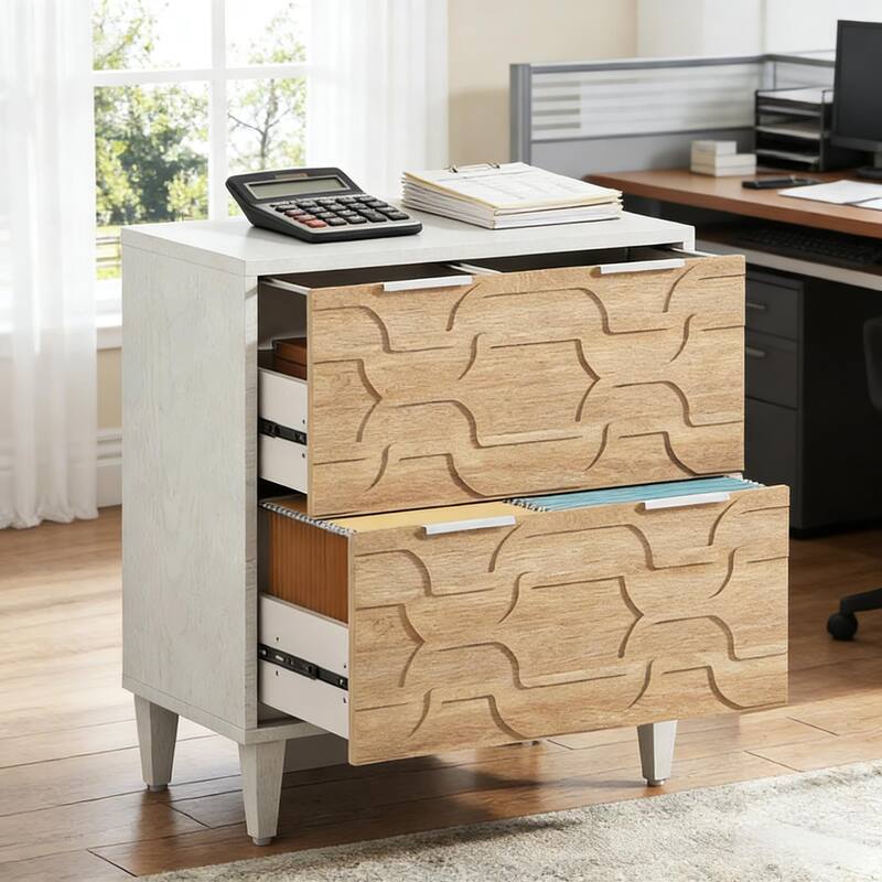 Rossetta 2-Drawer Stylish Design Versatile Storage File Cabinet with Ample Space