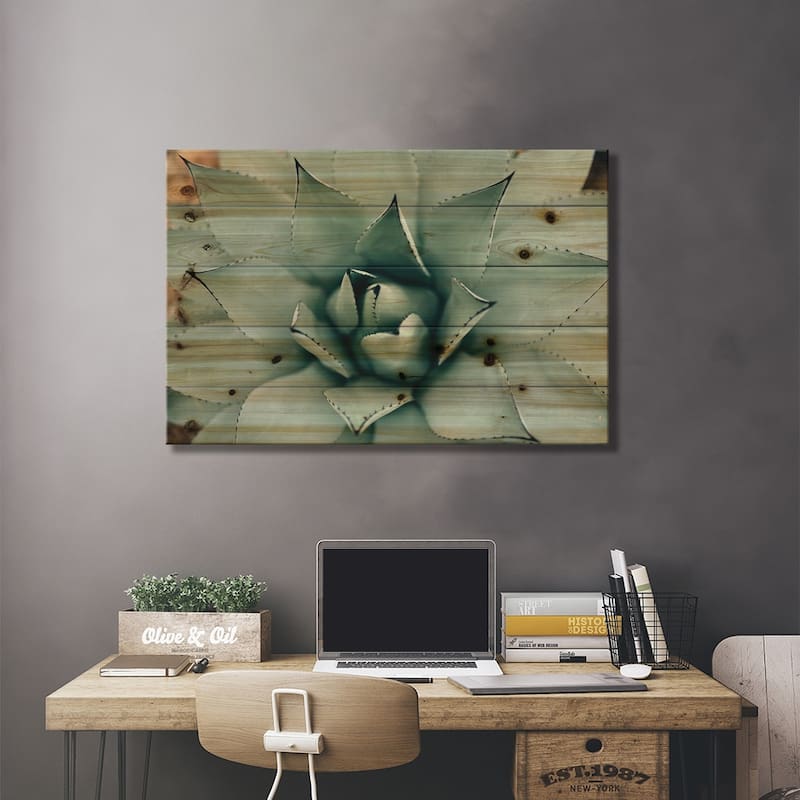 Mint Succulent I Print On Wood by Chelsea Victoria - Multi-Color