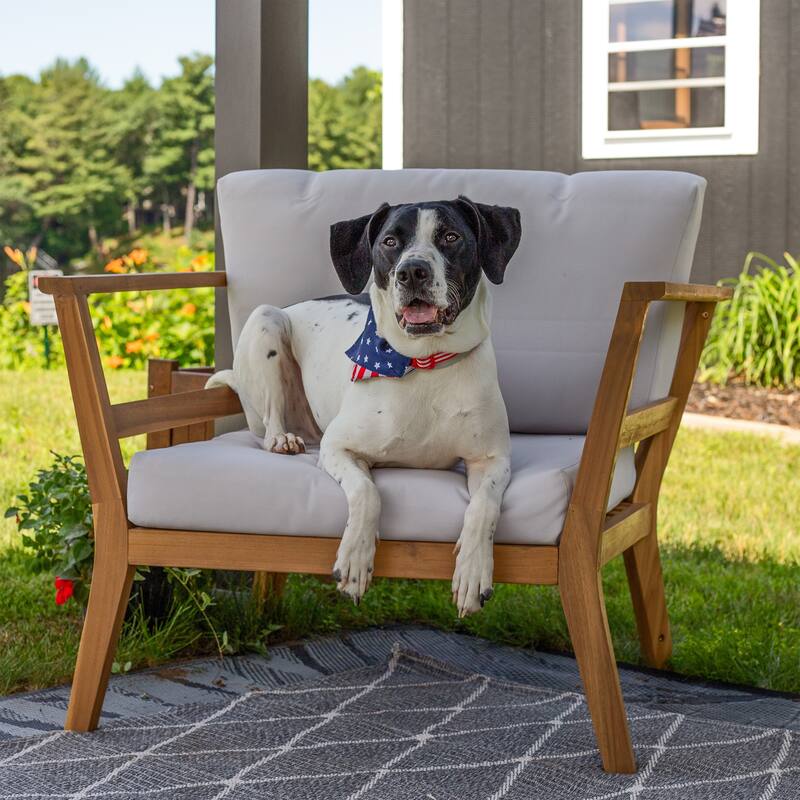 Sunnydaze Bodie Acacia Armchair with Cushions - Club Chair for Patio - Bone White Cushions - Set of 2