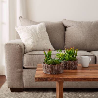 2-Piece Faux Succulent with Concrete Planter by Pure Garden - Set of 2