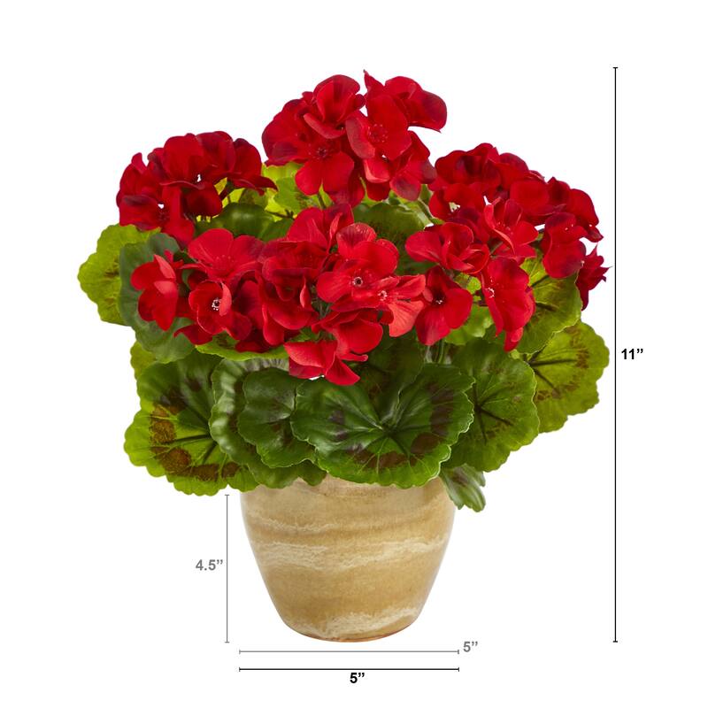 11" Geranium Plant in Ceramic Planter UV Resistant (Indoor/Outdoor)