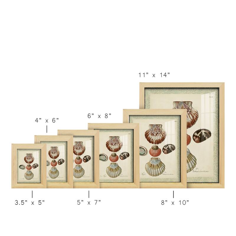 Bookplate Shells III -Framed Print w/glass-Cherry Red