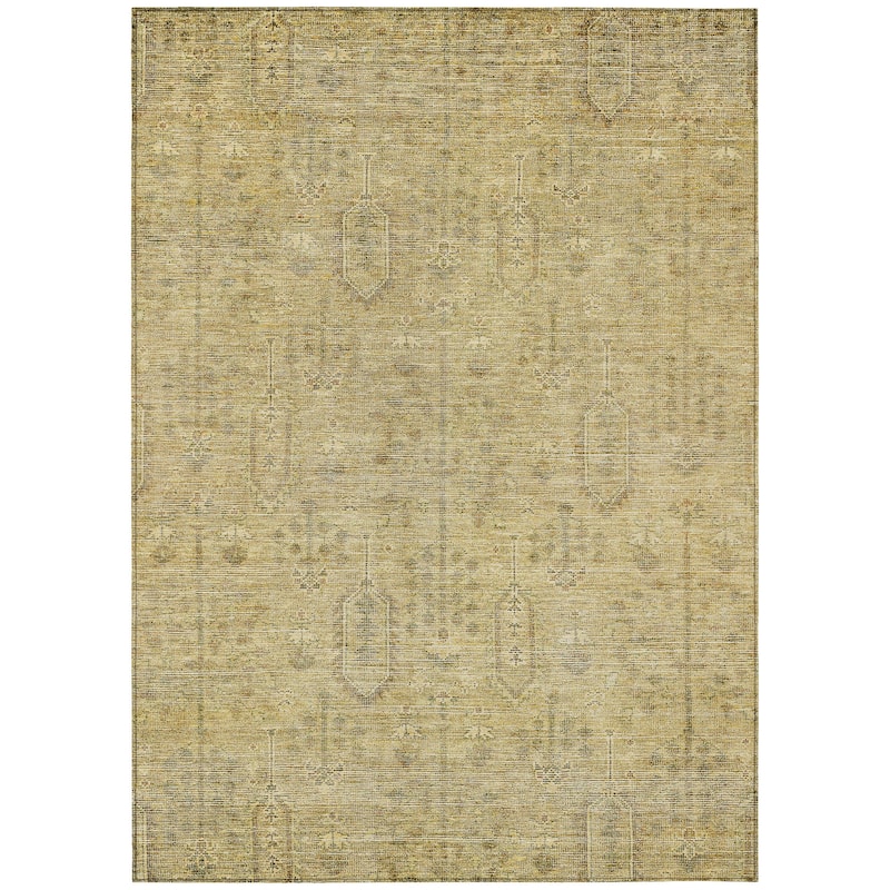Machine Washable Indoor/ Outdoor Chantille Distressed Traditional Rug