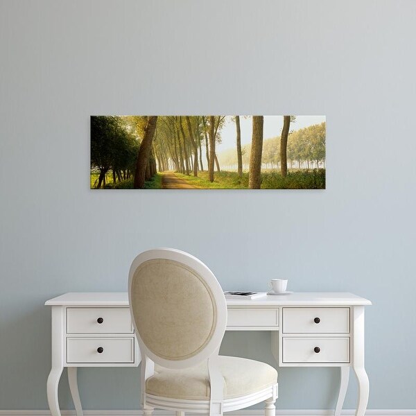 Easy Art Prints Panoramic Images's 'Rural Tree Lined Road Belgium' Premium Canvas Art