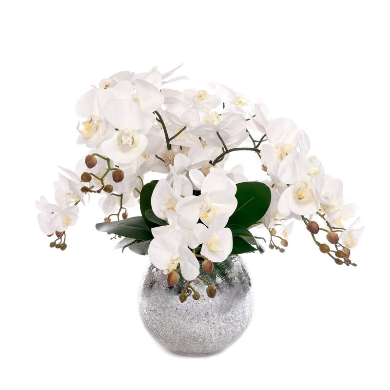 Real Touch Phalaenopsis Orchids in Sliver Glass Ball - White
