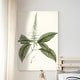 preview thumbnail 8 of 8, Sage Botanical II -Premium Gallery Wrapped Canvas