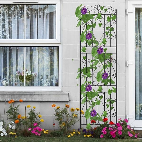 Visual Reference: Tall Metal Decorative Lattice Garden Trellis Set Of 2