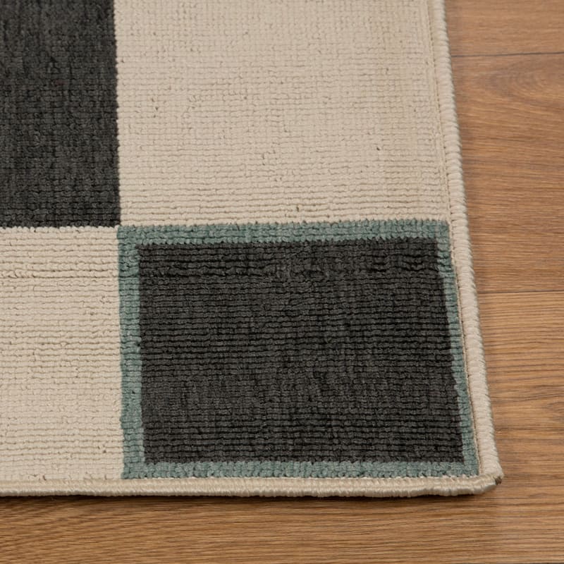Sevita Checkered Bohemian Polypropylene Area Rug
