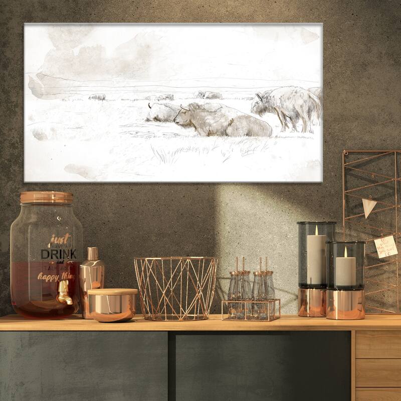 Designart "Wild Bison Buffalo Sketch" Farmhouse Animal Print on Wrapped Canvas