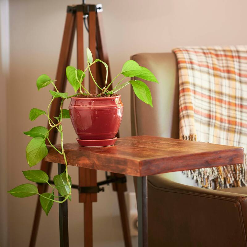 Southern Patio Collins Ceramic 6.1-inch Planter