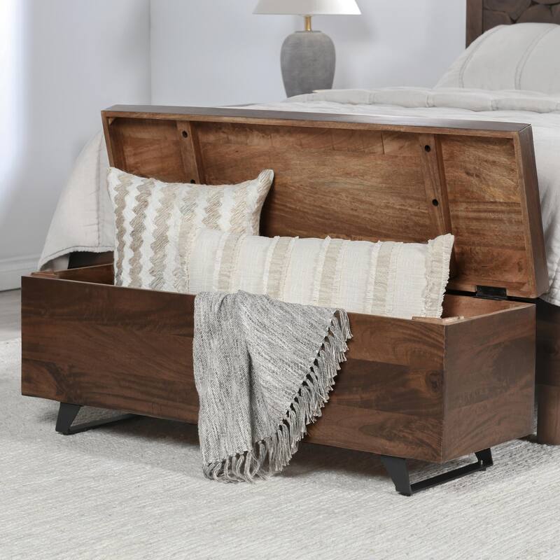 Axis 46" Storage Trunk in Dark Brown Finish by Kosas Home