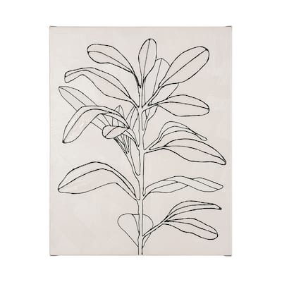 Olive Branch Countour I (45 x 50) Canvas Art Print
