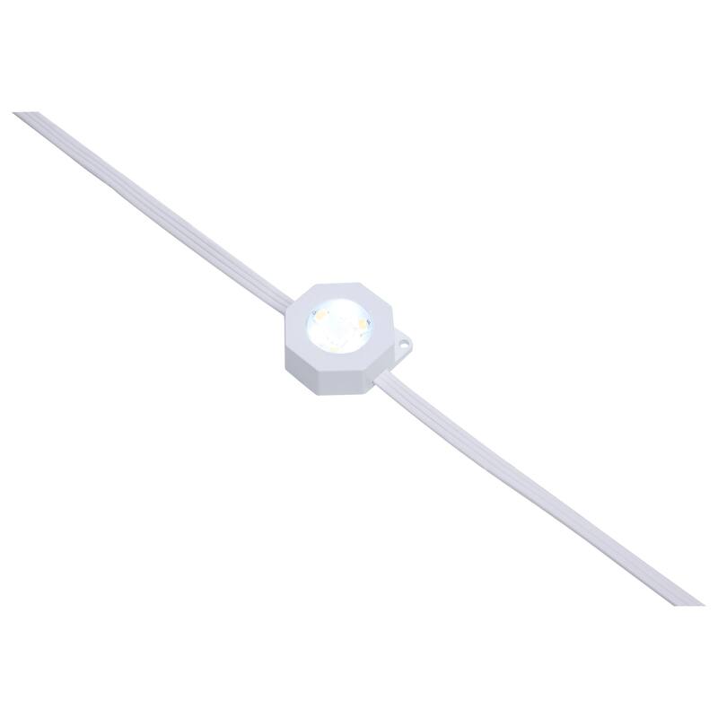Starfish 12 Watt 25 Foot LED Eave String Light Extension RGBTW White 120