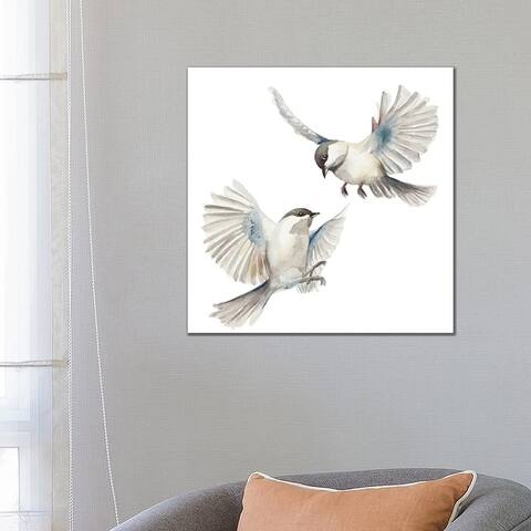 iCanvas "Isolated Birds" by Patricia Pinto Canvas Print