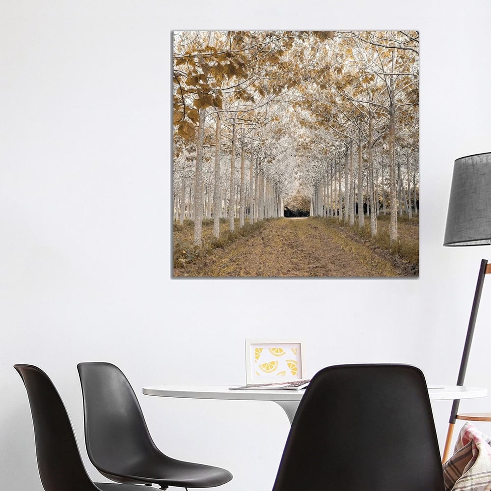 iCanvas "White Gold" by Assaf Frank Canvas Print