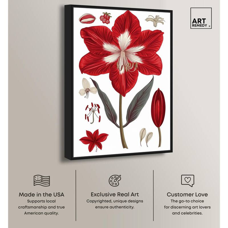 Amaryllis Anatomy Canvas by Art Remedy