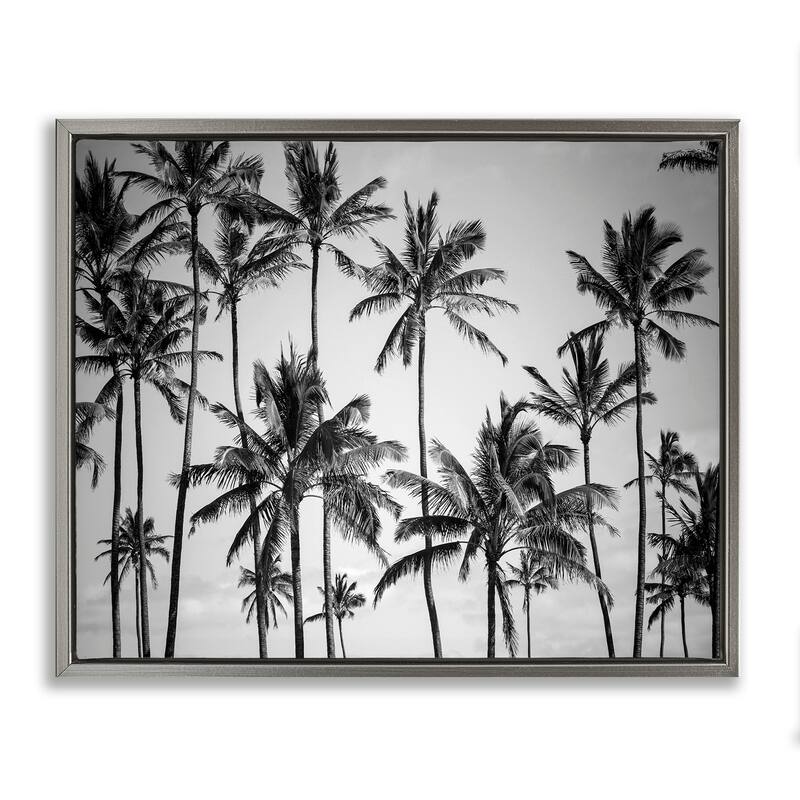 Stupell Palm Trees Skyline Black and White Photography Floater Frame