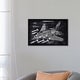 preview thumbnail 10 of 13, iCanvas "Lockheed Navy A-117" by Joseph Fernando Framed