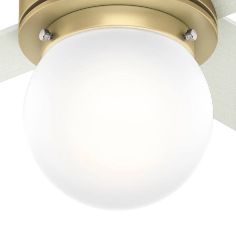 Hunter 44" Hepburn Ceiling Fan with LED Light Kit and Wall Control, Vintage, Transitional, Contemporary