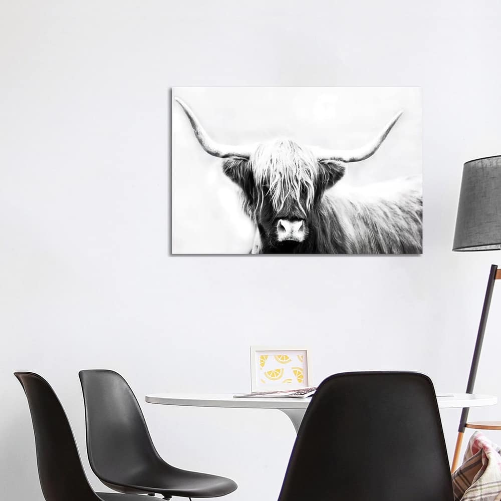 iCanvas "Highland Longhorn" by Danita Delimont Canvas Print
