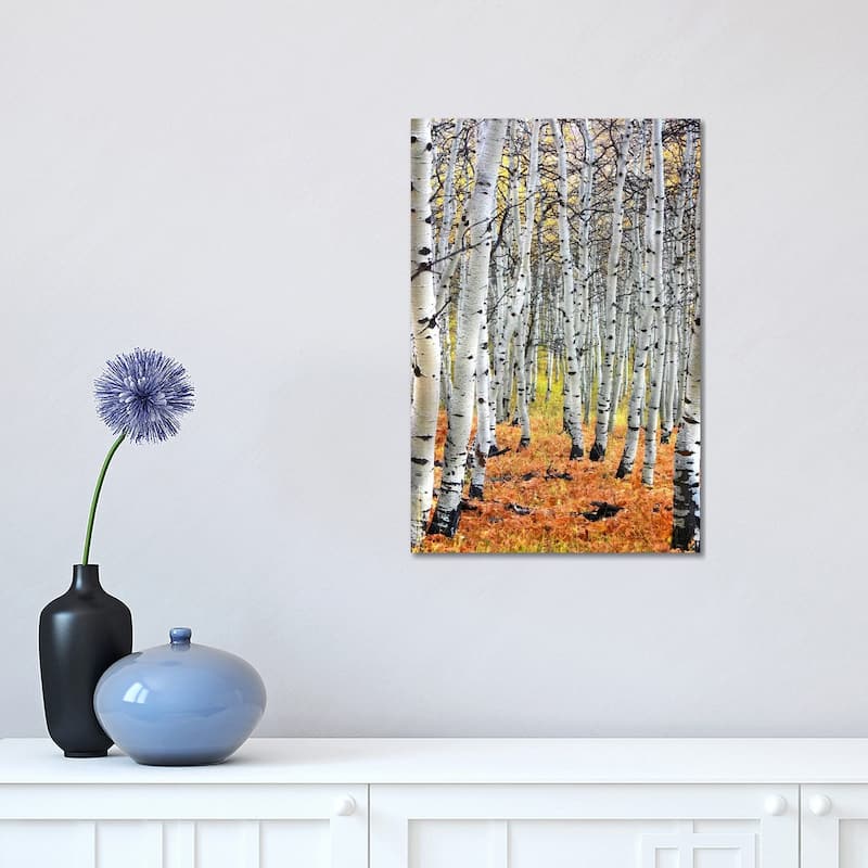 iCanvas "Autumn In Aspen" by Unknown Artist Canvas Print - 18x12x1.5