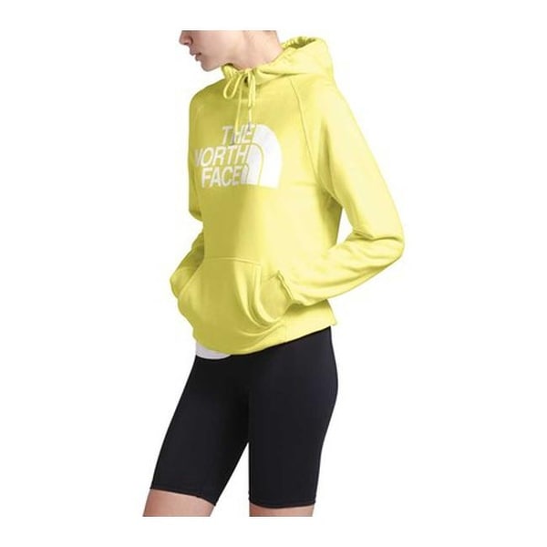 the north face jumbo half dome pullover hoodie