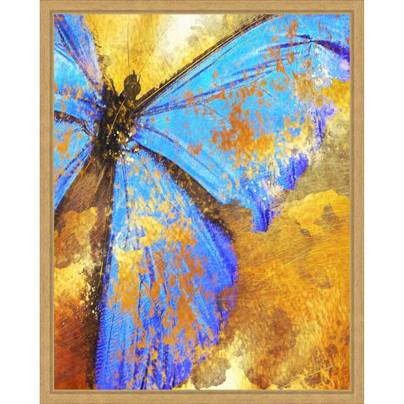 Blue Butterfly by Sannel Larson Framed Canvas Wall Art Print