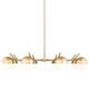 Option Modern Gold