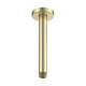 Option Brushed Gold