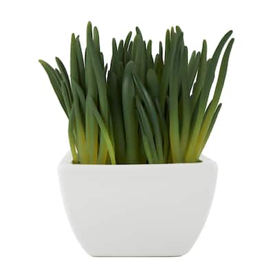 Faux Foliage Artificial Plant with White Ceramic Pot - Green - Roche River Decor - 6"W x 8"L x 8"H