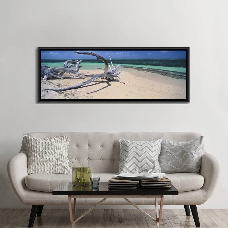 iCanvas "Driftwood on the beach, Green Island,Great Barrier Reef, Queensland, Australia" by Panoramic Images Framed Canvas Print