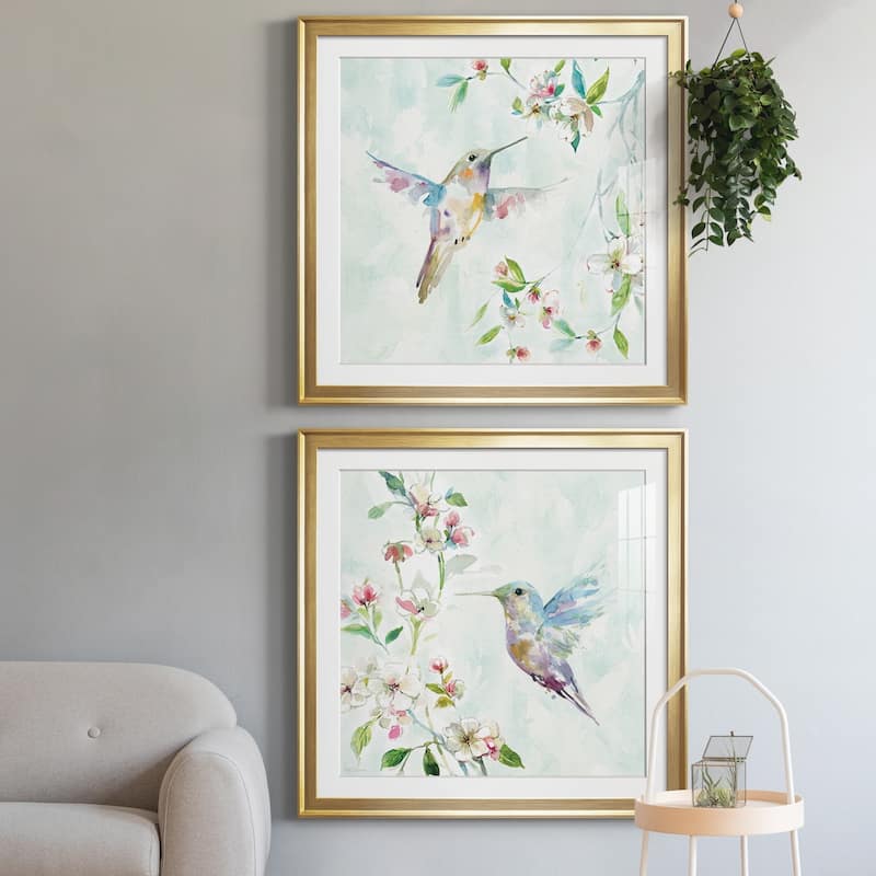 Hummingbird I Premium Framed Print - Ready to Hang