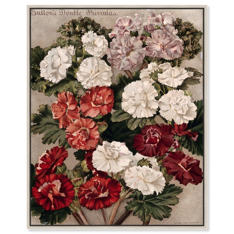 Flowered Primulas Canvas by Art Remedy - Silver - 24" x 30"