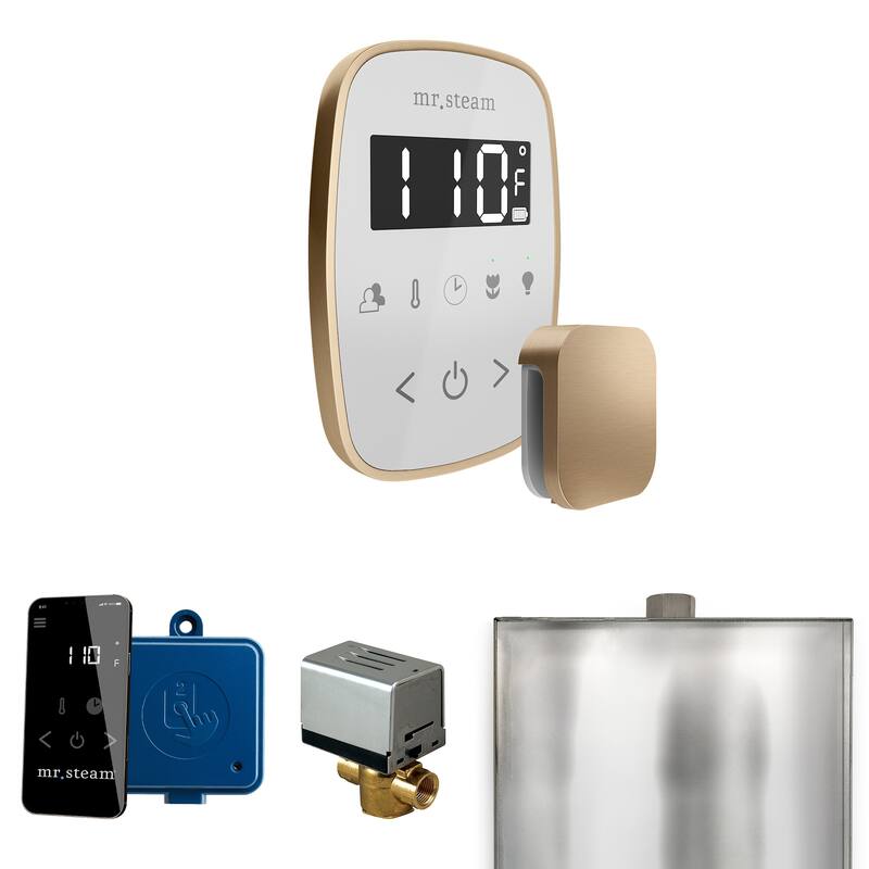 Mr Steam BF Butler Flex Package Steam Shower Control Package with - White / Brushed Bronze