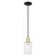 Option Clear / Black Antique Brass