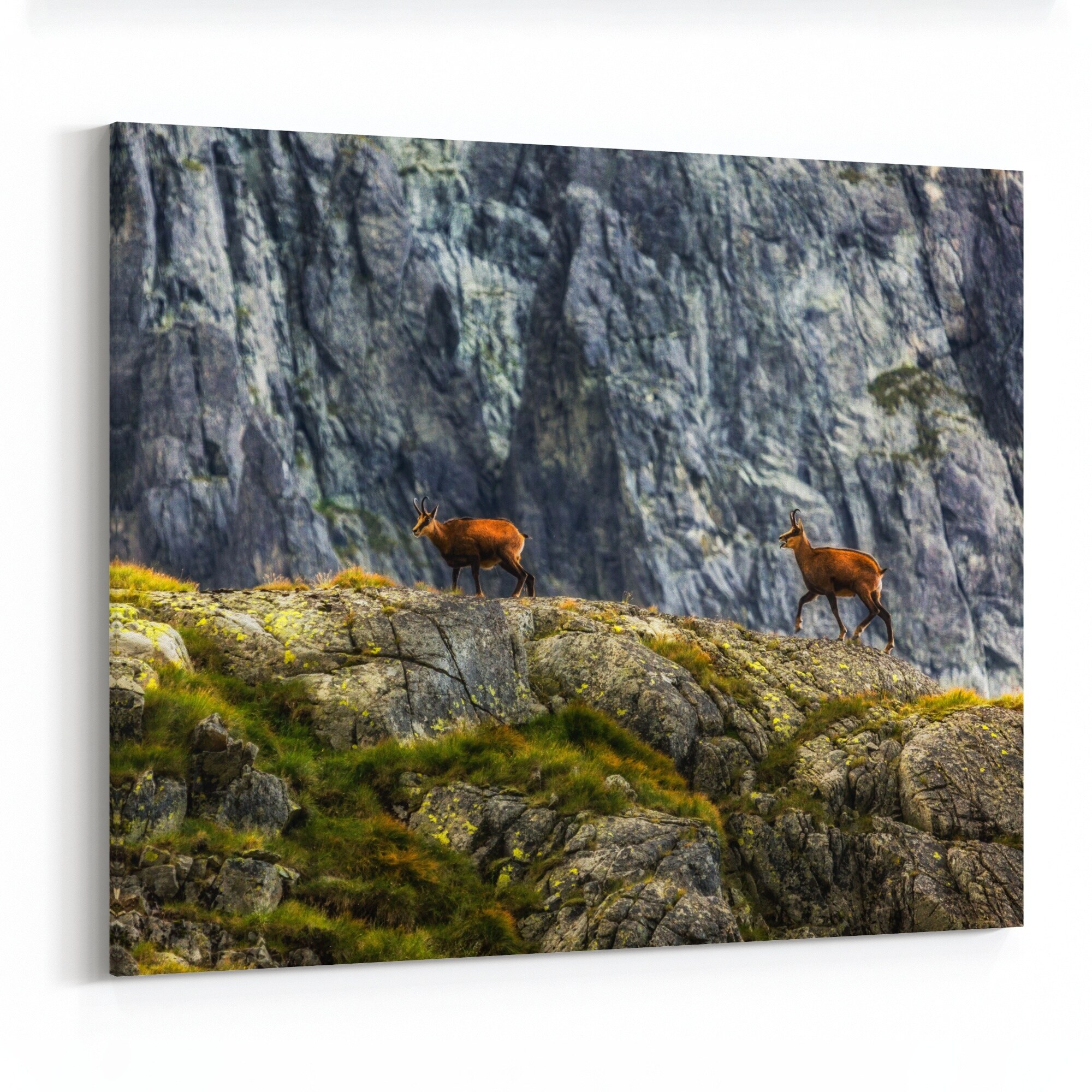 Shop Zakopane Poland Landscape Mountains Canvas Wall Art Print Overstock 31656764