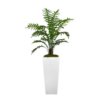 6 ft Fern Arrangement in a Tall Fiberstone Planter - Green