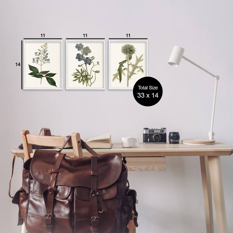 Stupell Vintage Blue Botanical Flowers on Beige, 3pc Multi Piece Framed Wall Art Set