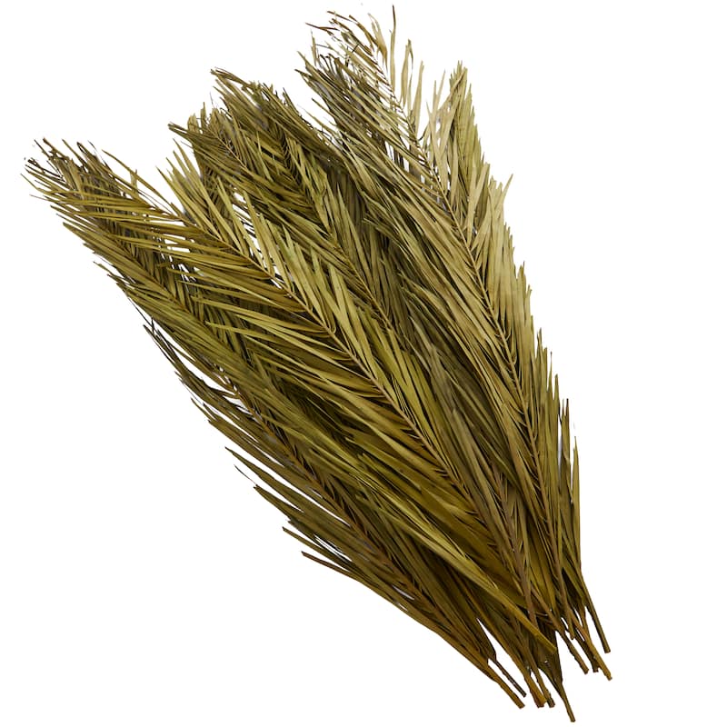 Green Dried Plant Palm Leaf Home Decor Natural Foliage with Feather Inspired Stems