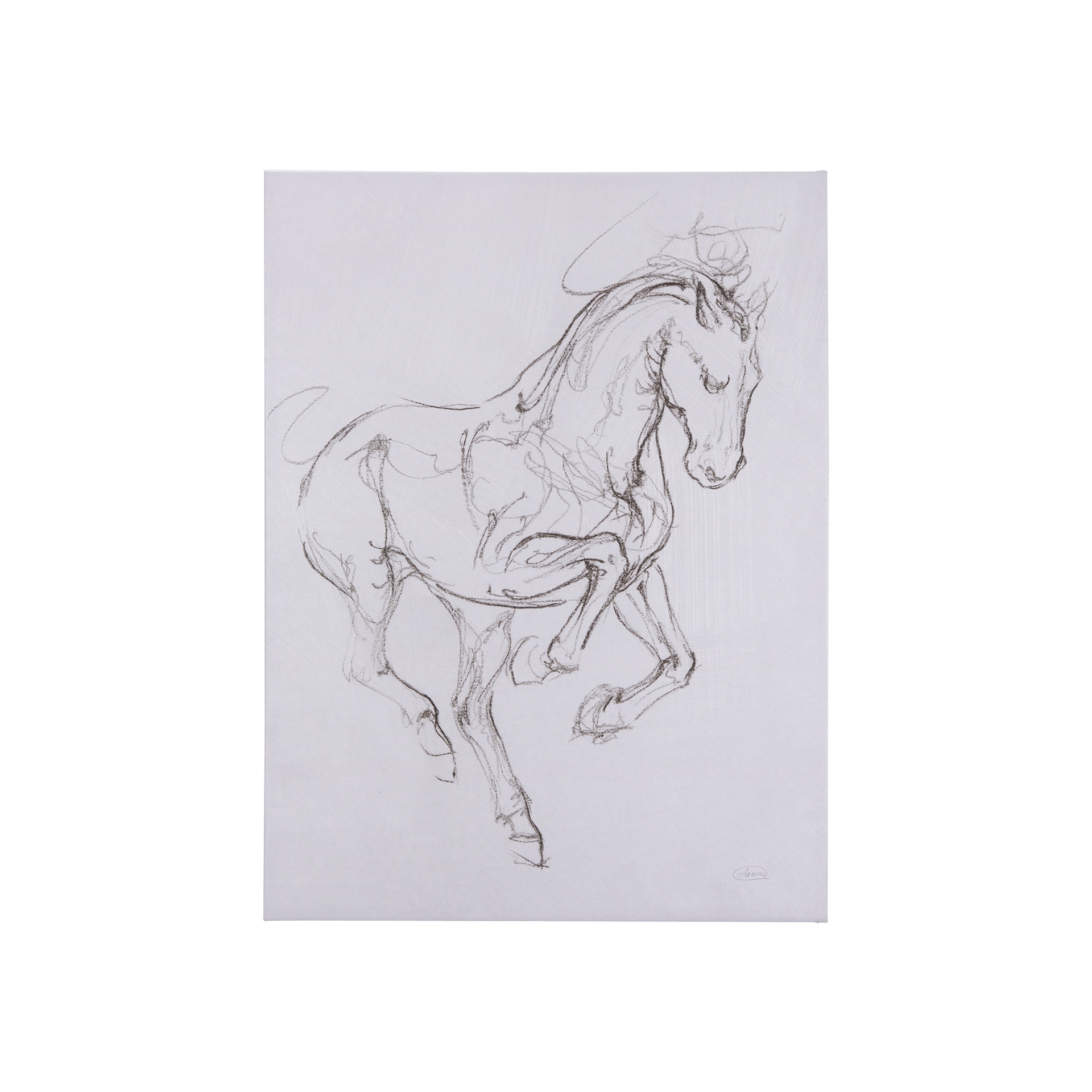Horse I (30 x 40 ) Canvas Art Print