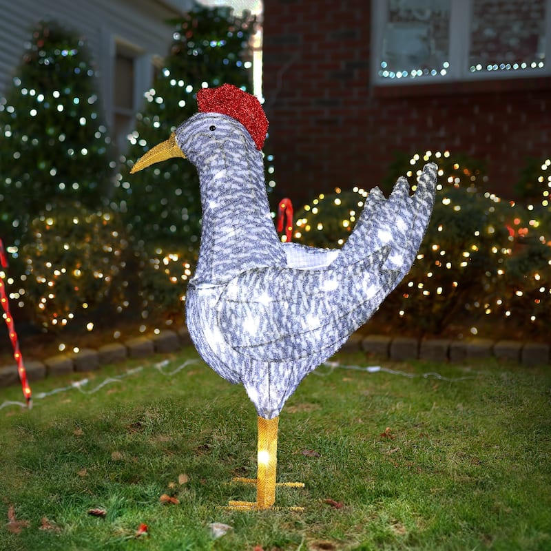 2FT Lighted Christmas Rooster Outdoor Decoration with 50 LED Lights, Weather-Proof Yard Ornament - White