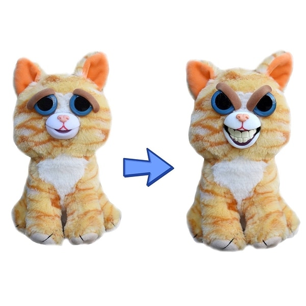 feisty pets where to buy