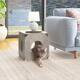 Carson Carrington Shorewood Cat Hut Cube/Stool