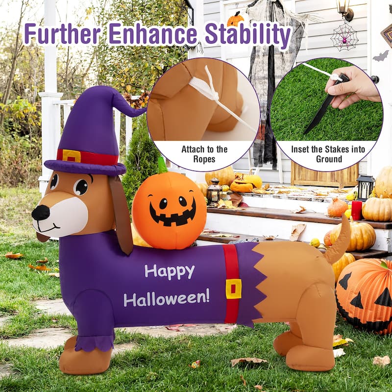 Costway 5 FT Long Halloween Inflatable Dachshund Dog with Pumpkin Self - See Details