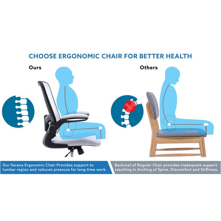 Serena Ergonomic Mesh Drafting Chair - Adjustable, Breathable Mesh, Lumbar Support, Ergonomic and Height Adjustable Flip-Top